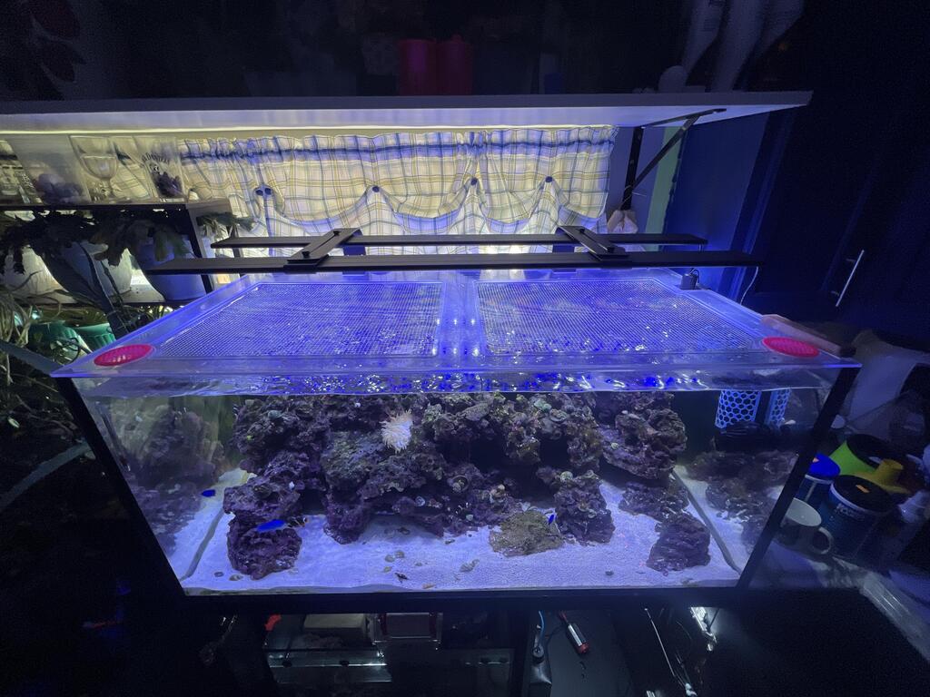 Red Sea REEFER / REEFER MAX 425 G2 / G2+ Lid