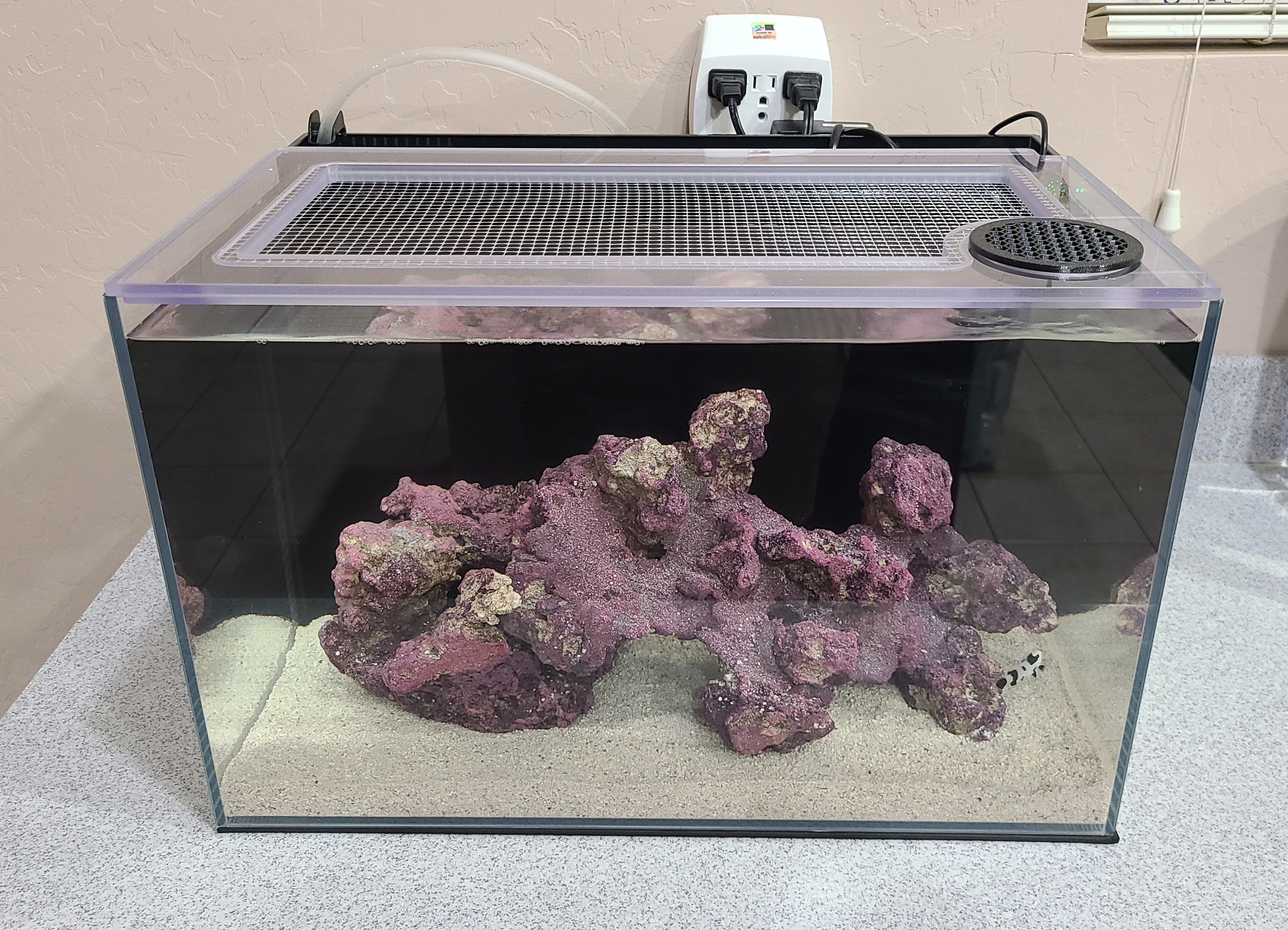 Lifegard All-In-One (AIO) 10 Gallon Lid