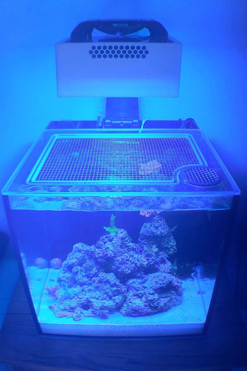 Innovative Marine NUVO FUSION 15 All-In-One (AIO) Cube Lid