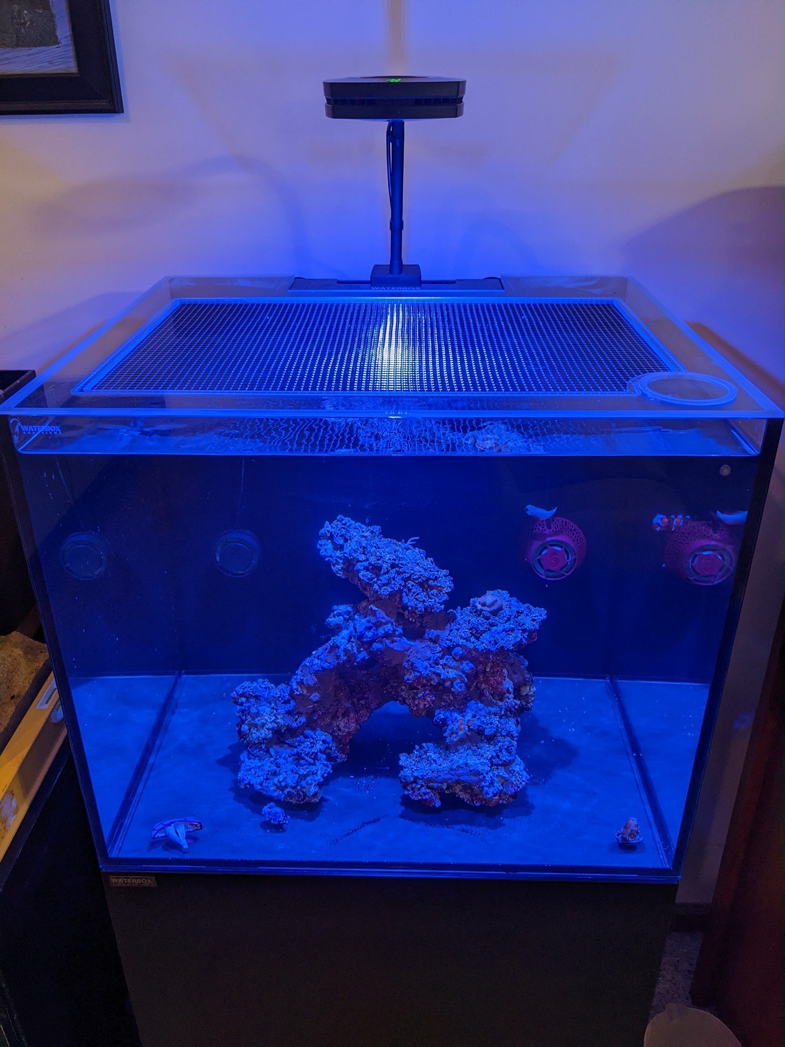 Ultum Nature Systems (UNS) Reef System R75 Lid