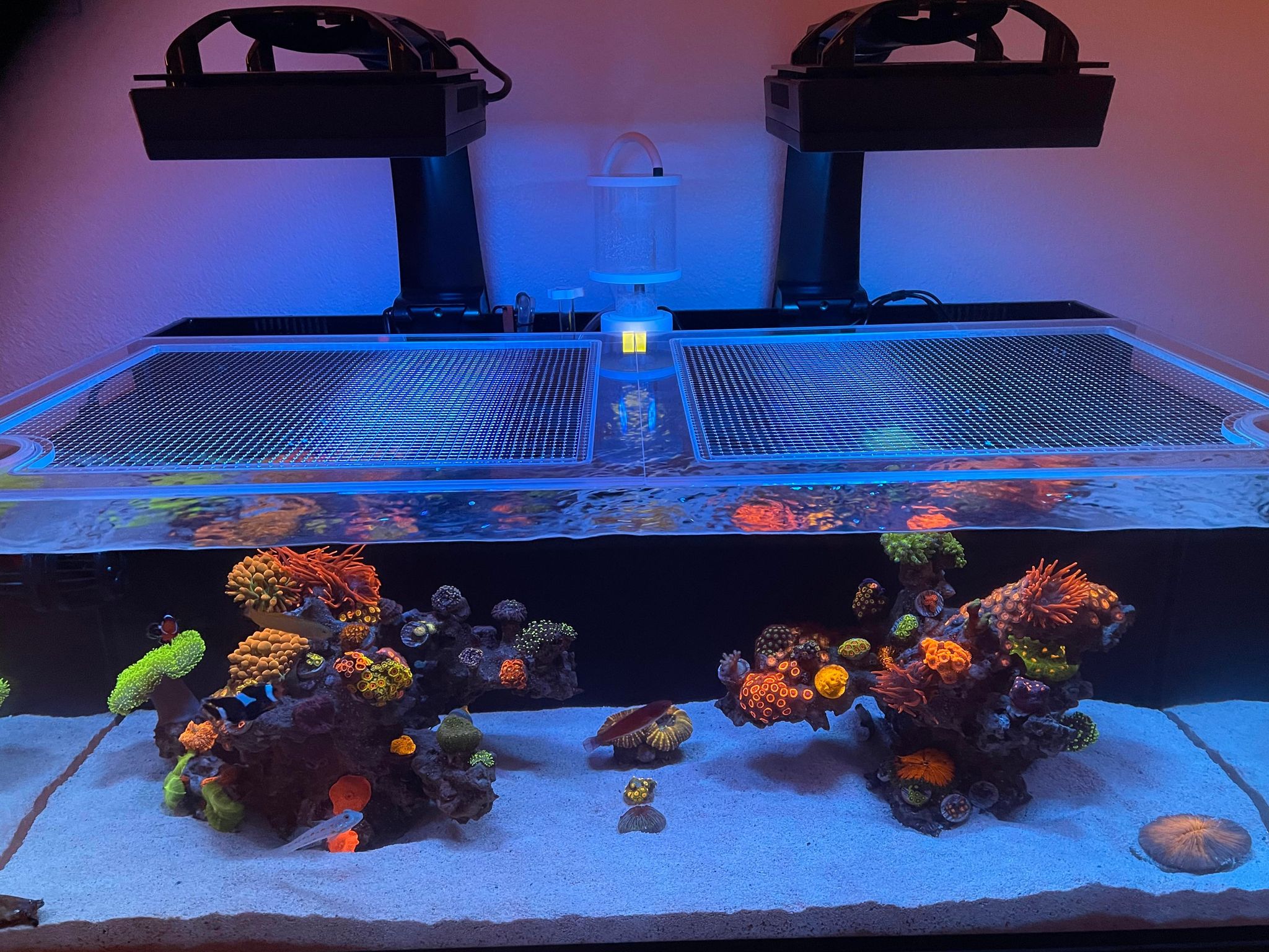 Innovative Marine NUVO SR60 Pro 2 Lid