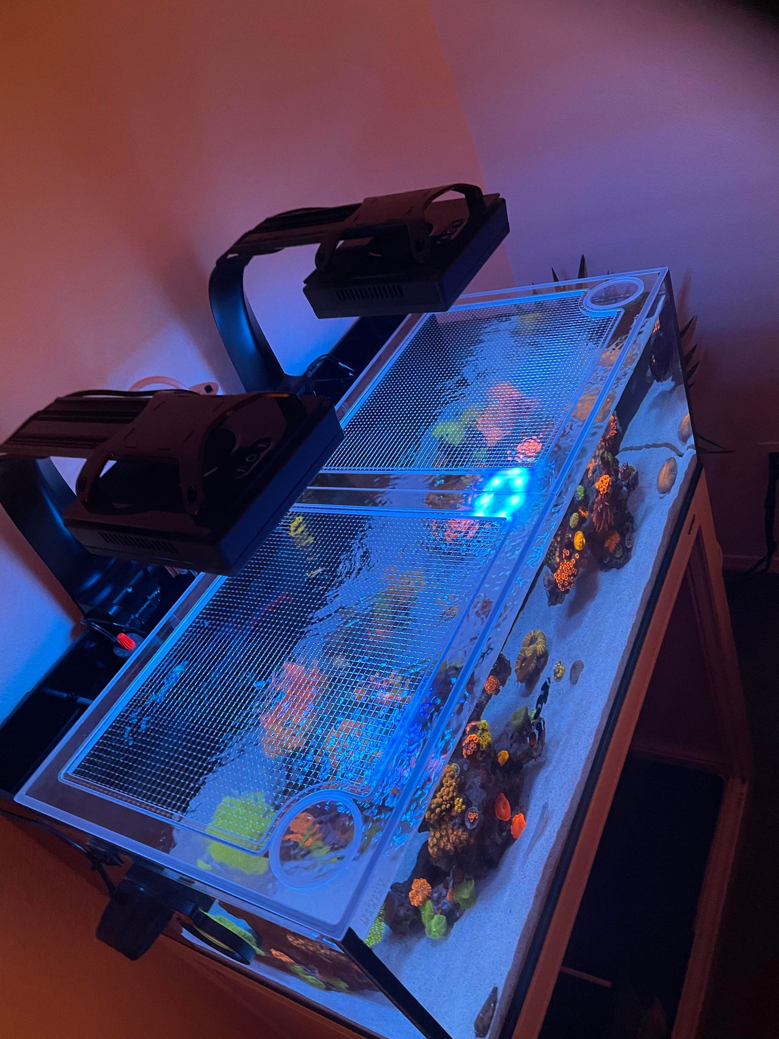 Innovative Marine NUVO SR60 Pro 2 Lid