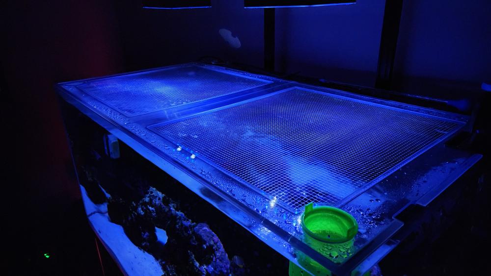 SC Aquariums (SCA) 95G (Euro-Braced) Lid
