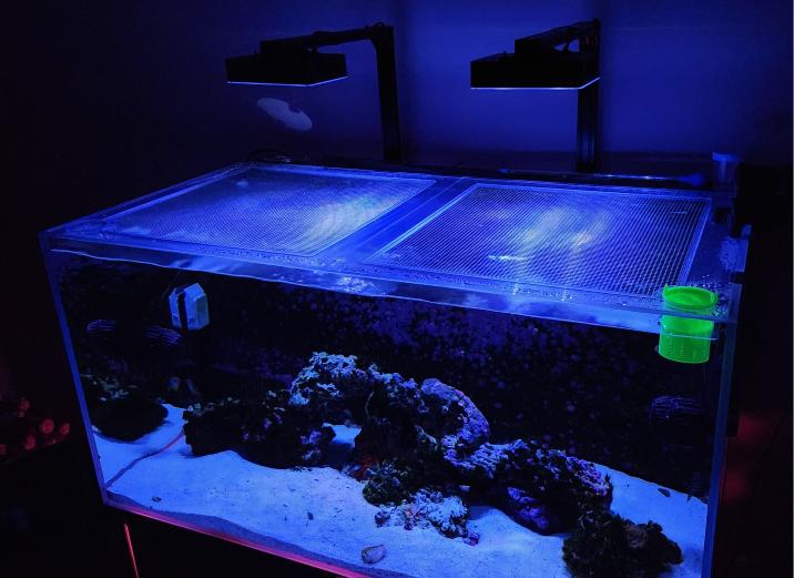 CADE REEF 900 S2 Lid