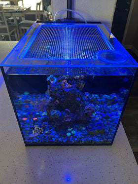 Tideline All-In-One (AIO) 13.4 Gallon Peninsula Lid