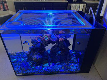 Tideline All-In-One (AIO) 13.4 Gallon Peninsula Lid