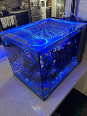 Tideline All-In-One (AIO) 13.4 Gallon Peninsula Lid