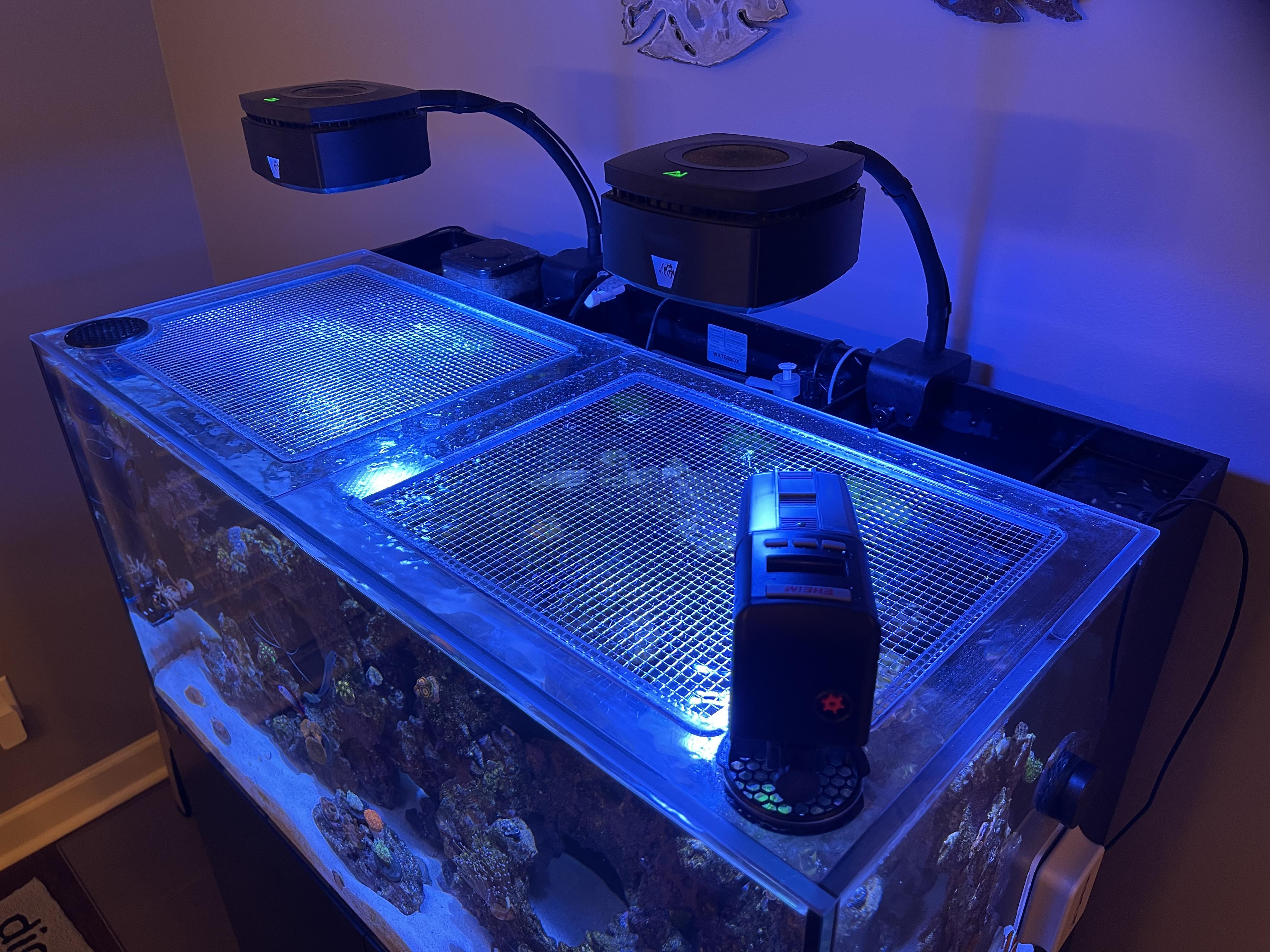 Auto Feeder Adapter (Requires Premium Feed Lid)