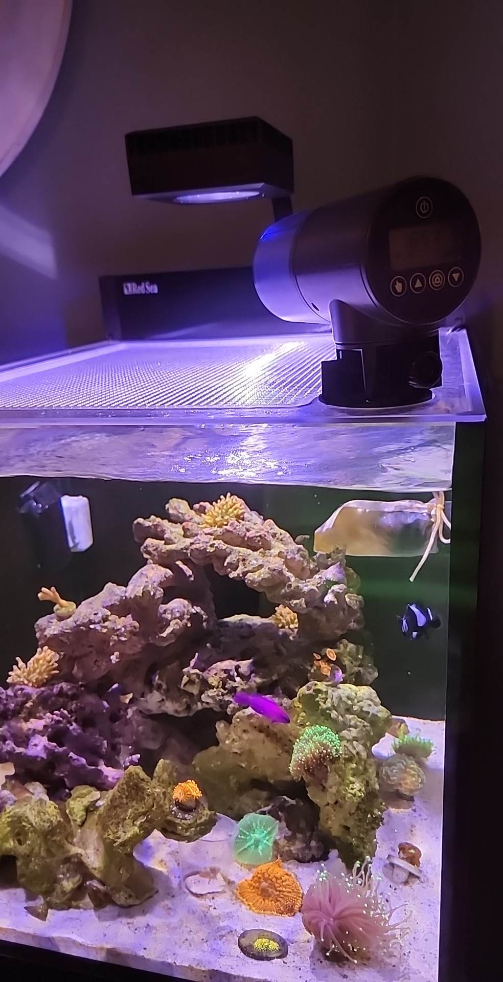 Auto Feeder Adapter (Requires Premium Feed Lid)