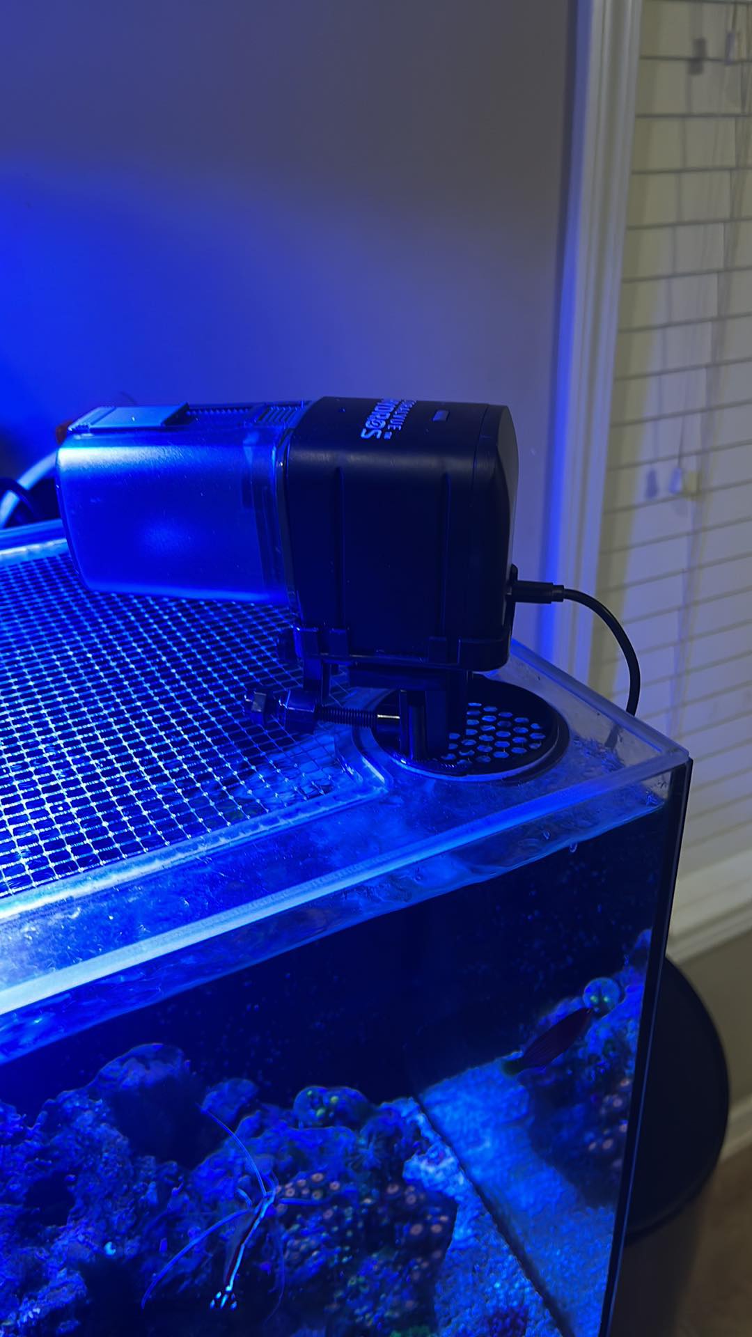 Auto Feeder Adapter (Requires Premium Feed Lid)