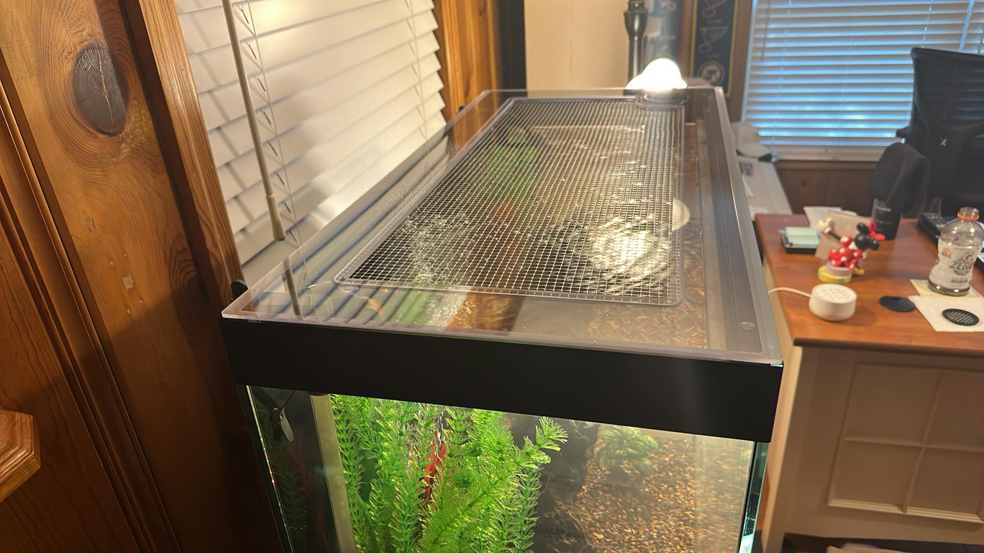 Waterbox EDEN 30 Lid