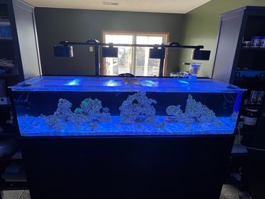 Innovative Marine NUVO SR120 Pro 2 Lid