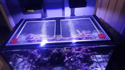 Waterbox INFINIA REEF 230.6 Lid