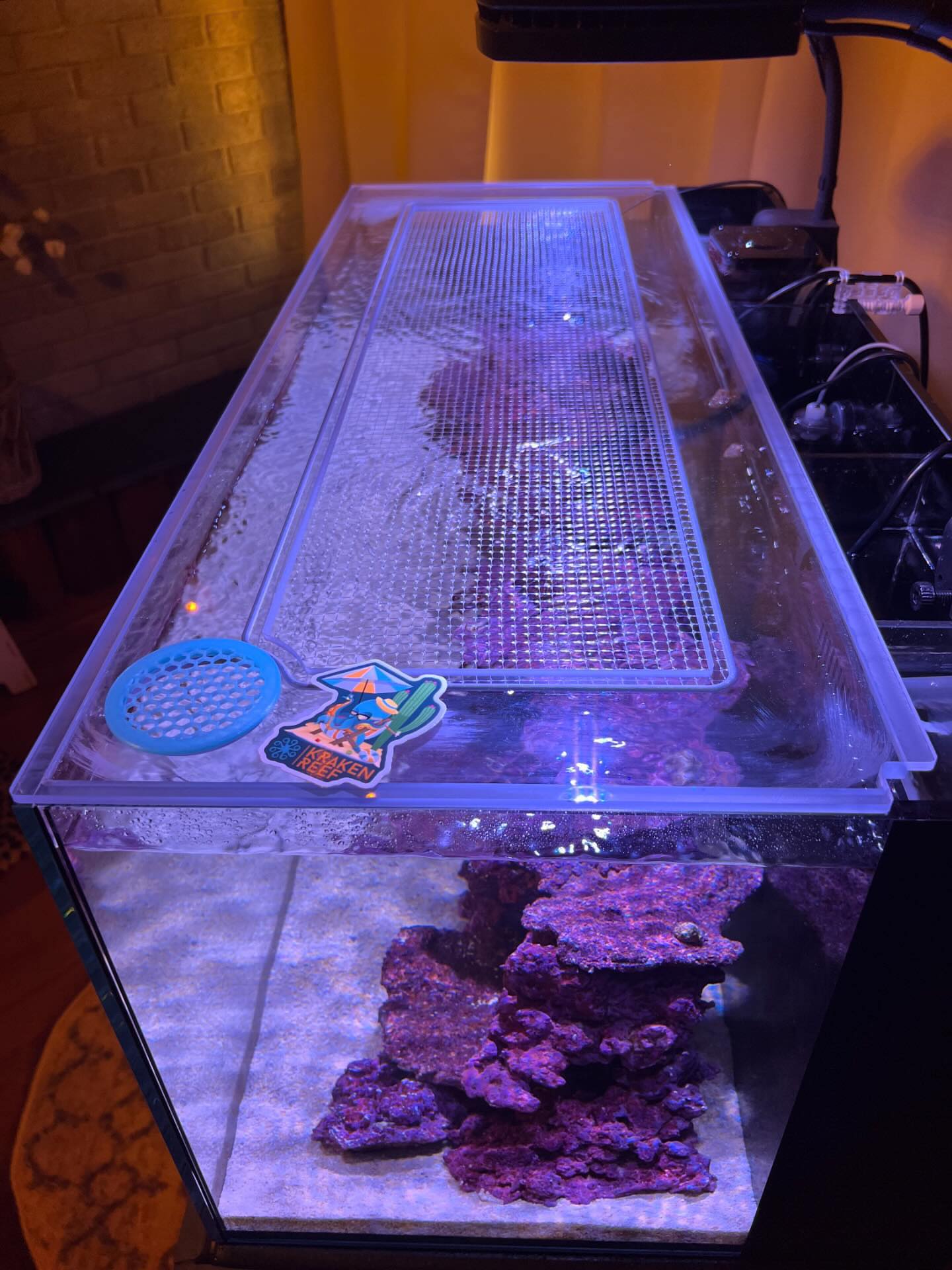 IceCap 45 Gallon All-In-One (AIO) Lid