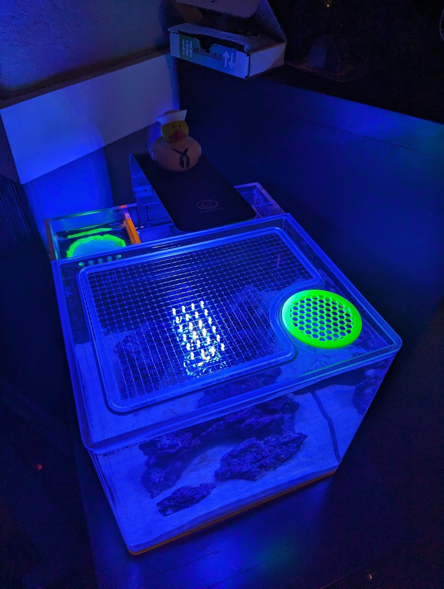 Eshopps Deskmate CLASSIC / 3.8 / 4.8 Lid