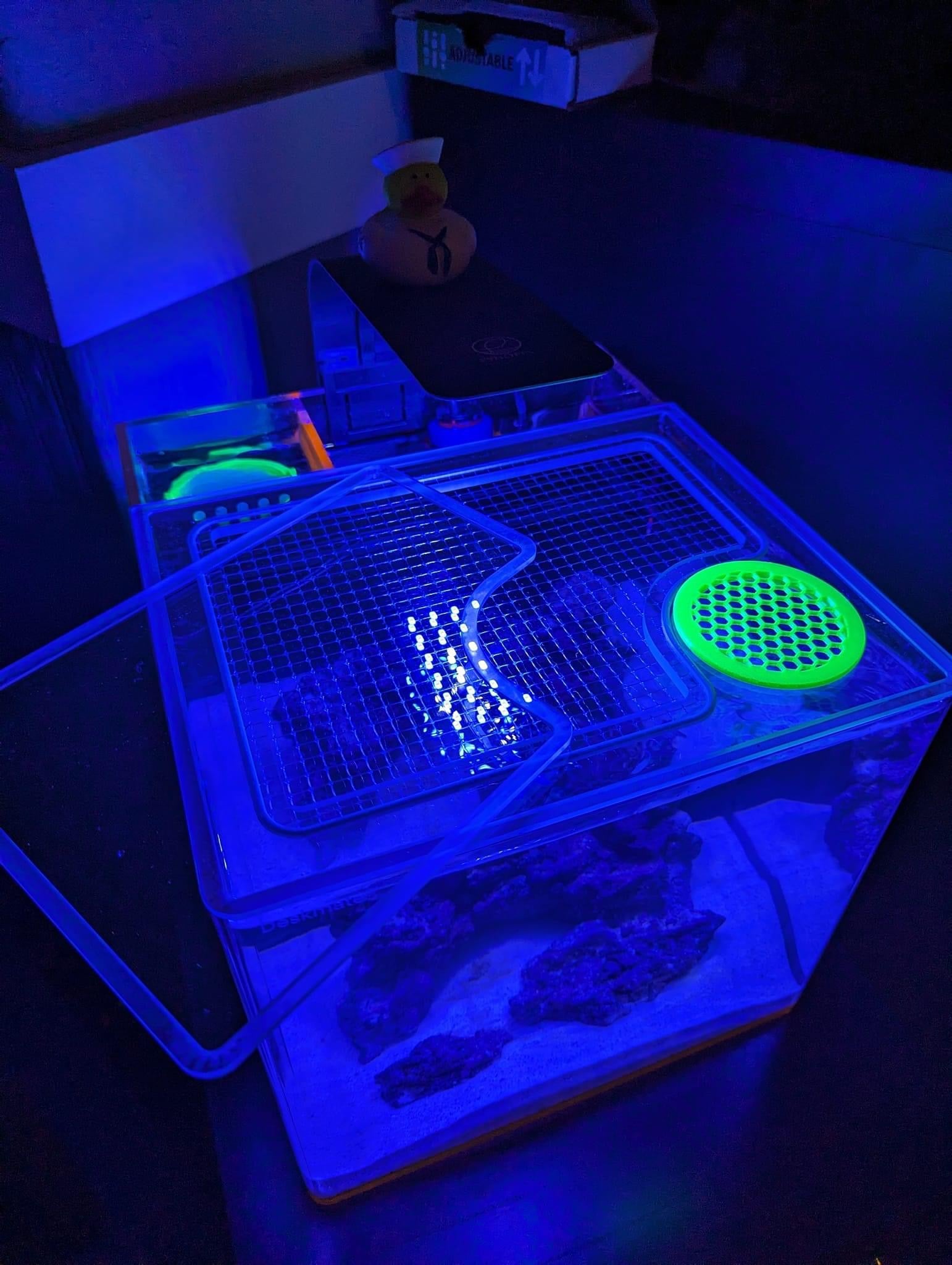 Eshopps Deskmate CLASSIC / 3.8 / 4.8 Lid