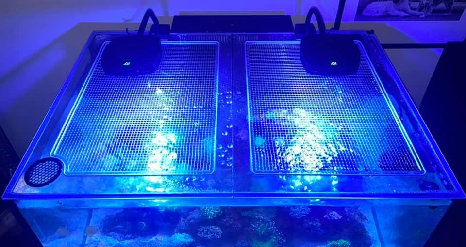 Innovative Marine NUVO EXT 75 Lid