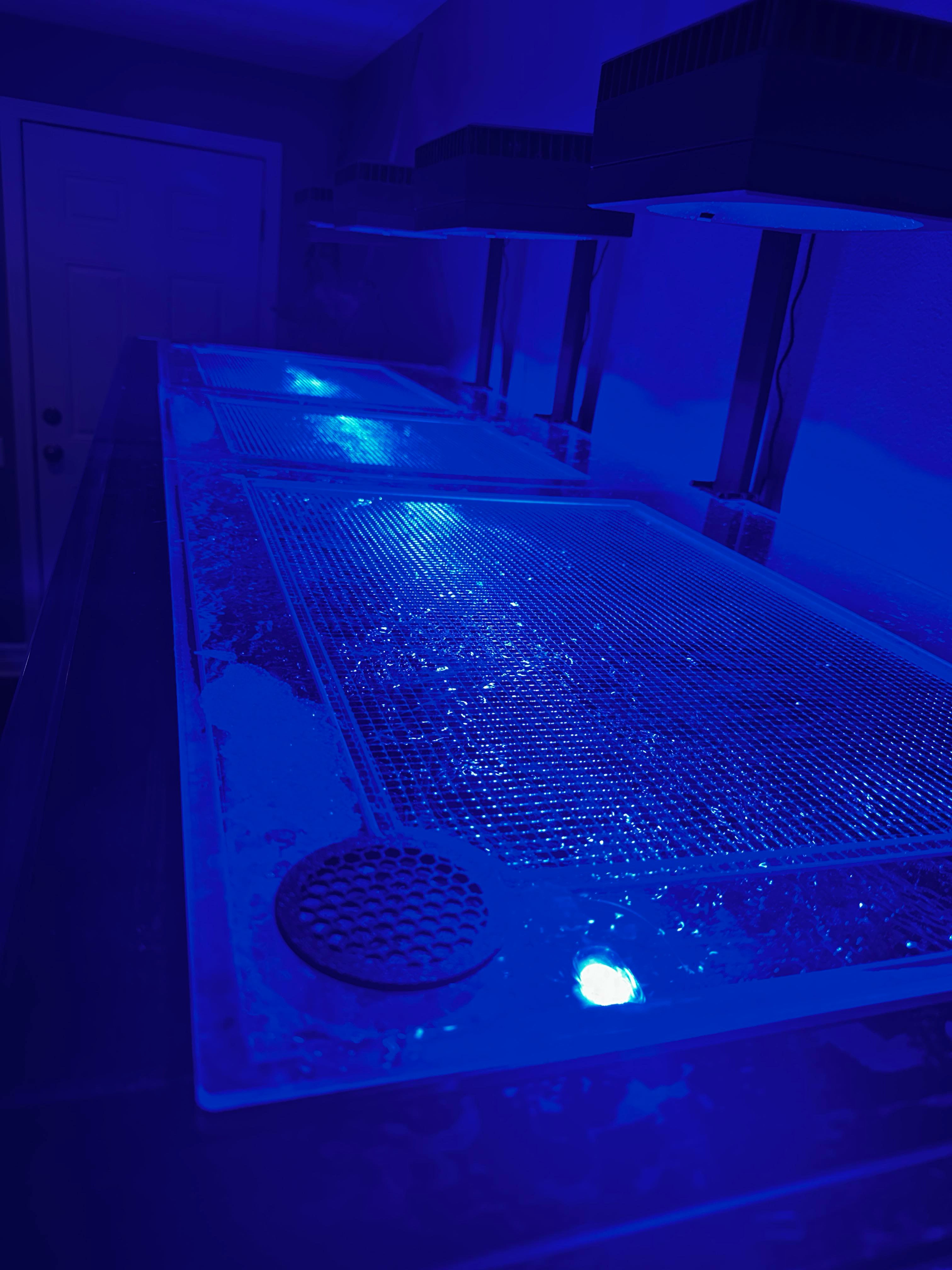 Red Sea REEFER S-1000 G2 / G2+ / G3 Lid