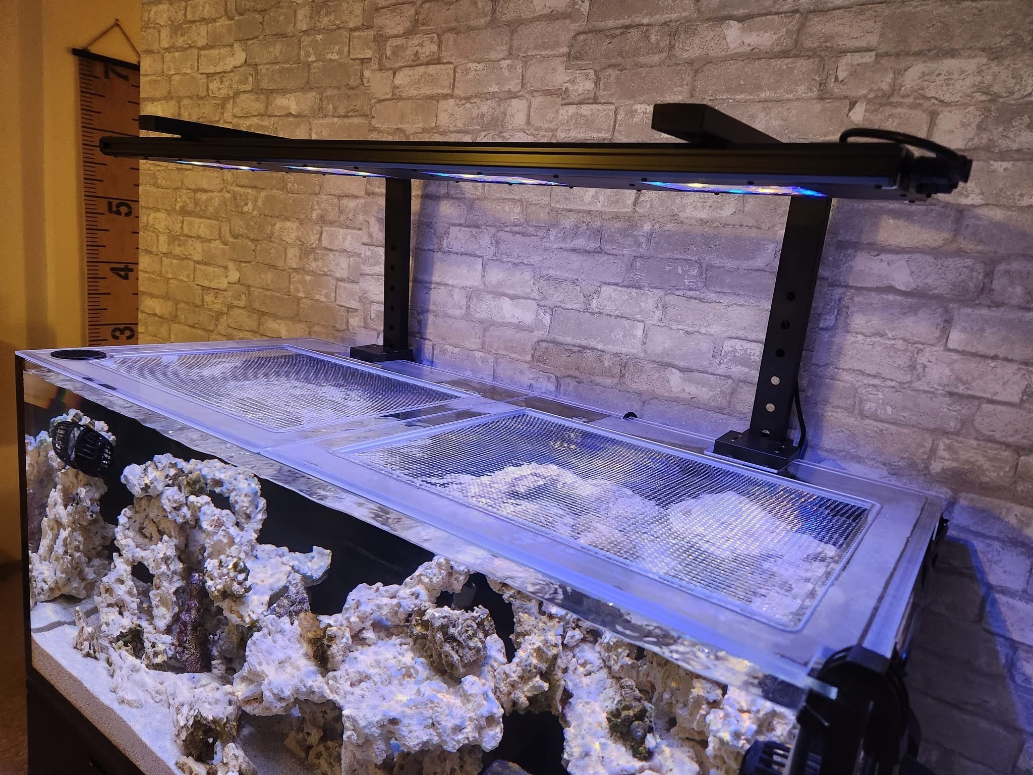 Eshopps Mariner 100 Lid