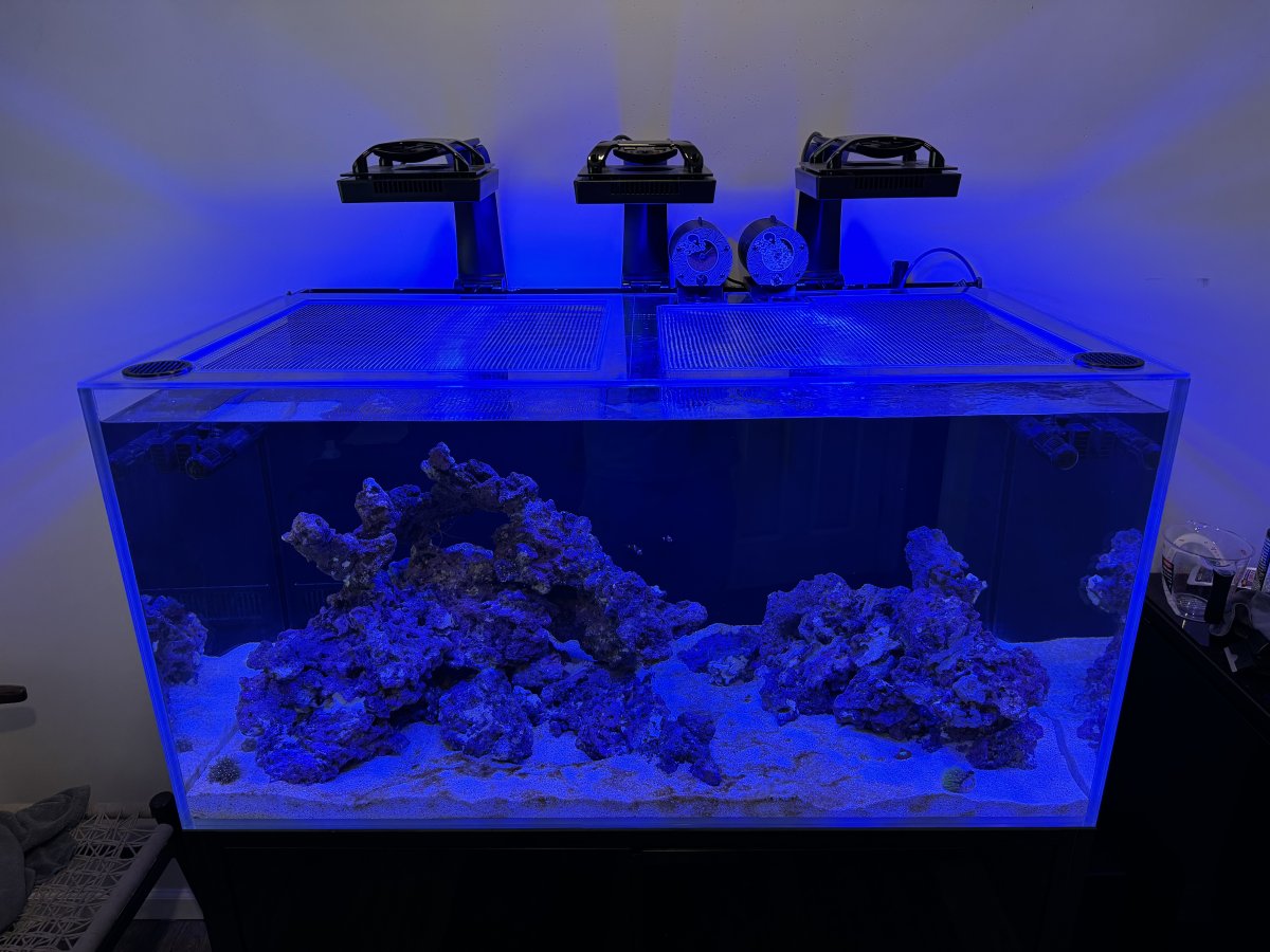 CADE REEF 1200 S2 Lid