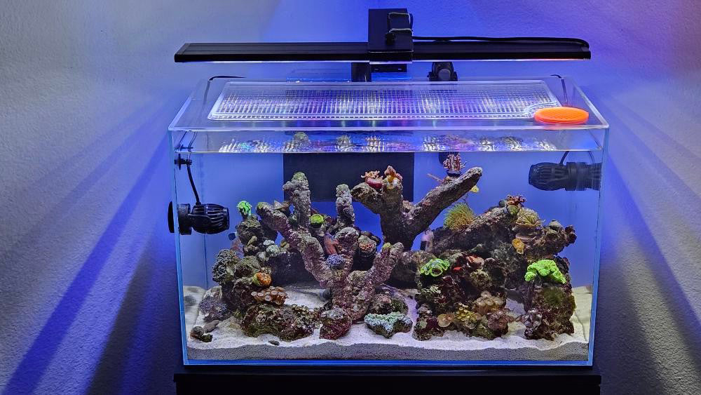 WIO VISTAS P - CLASSIC 60P Lid