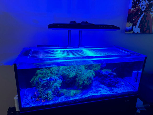 Innovative Marine NUVO FUSION MICRO 30L Lid