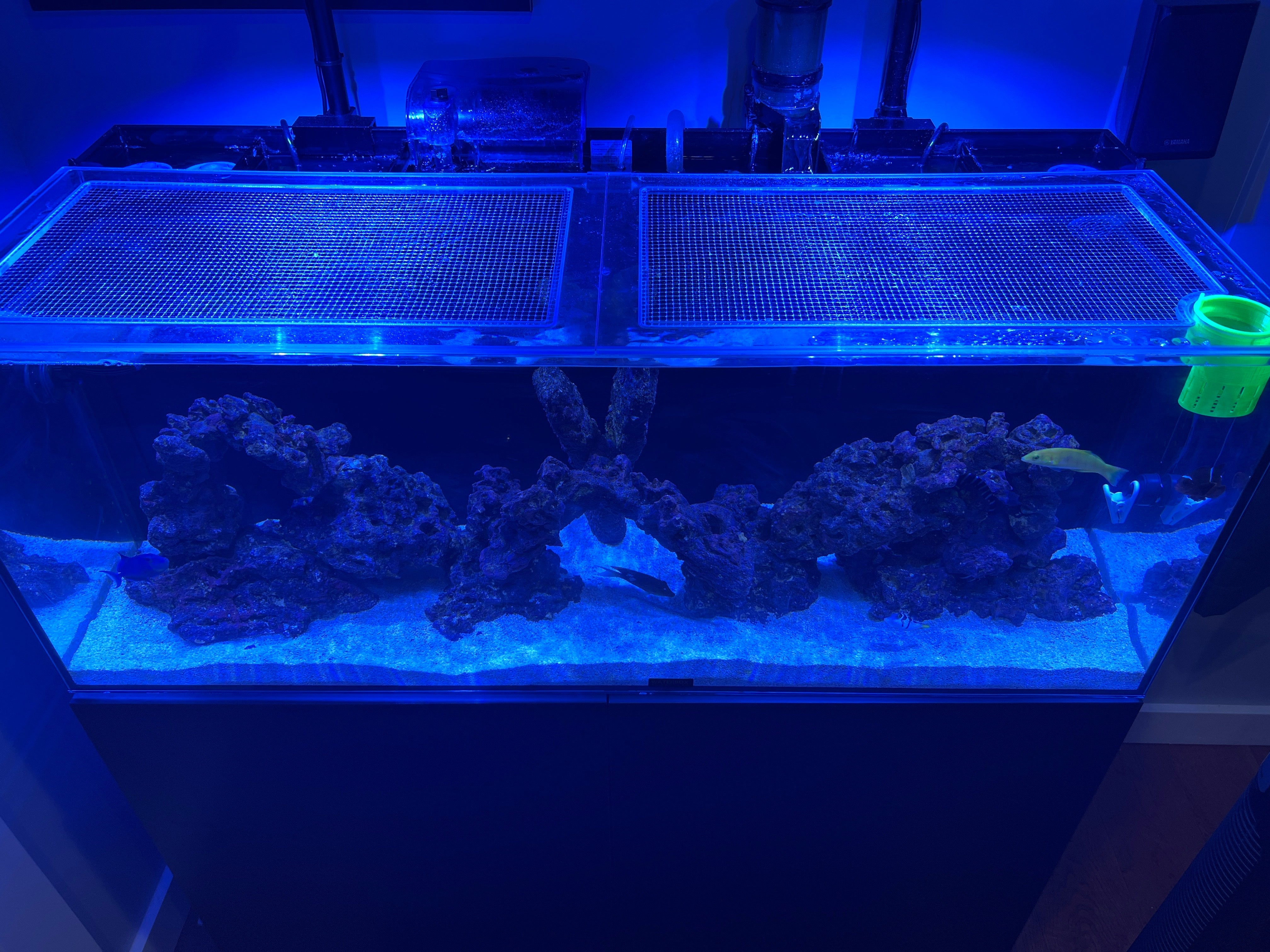 CADE REEF 1800 S2 Lid