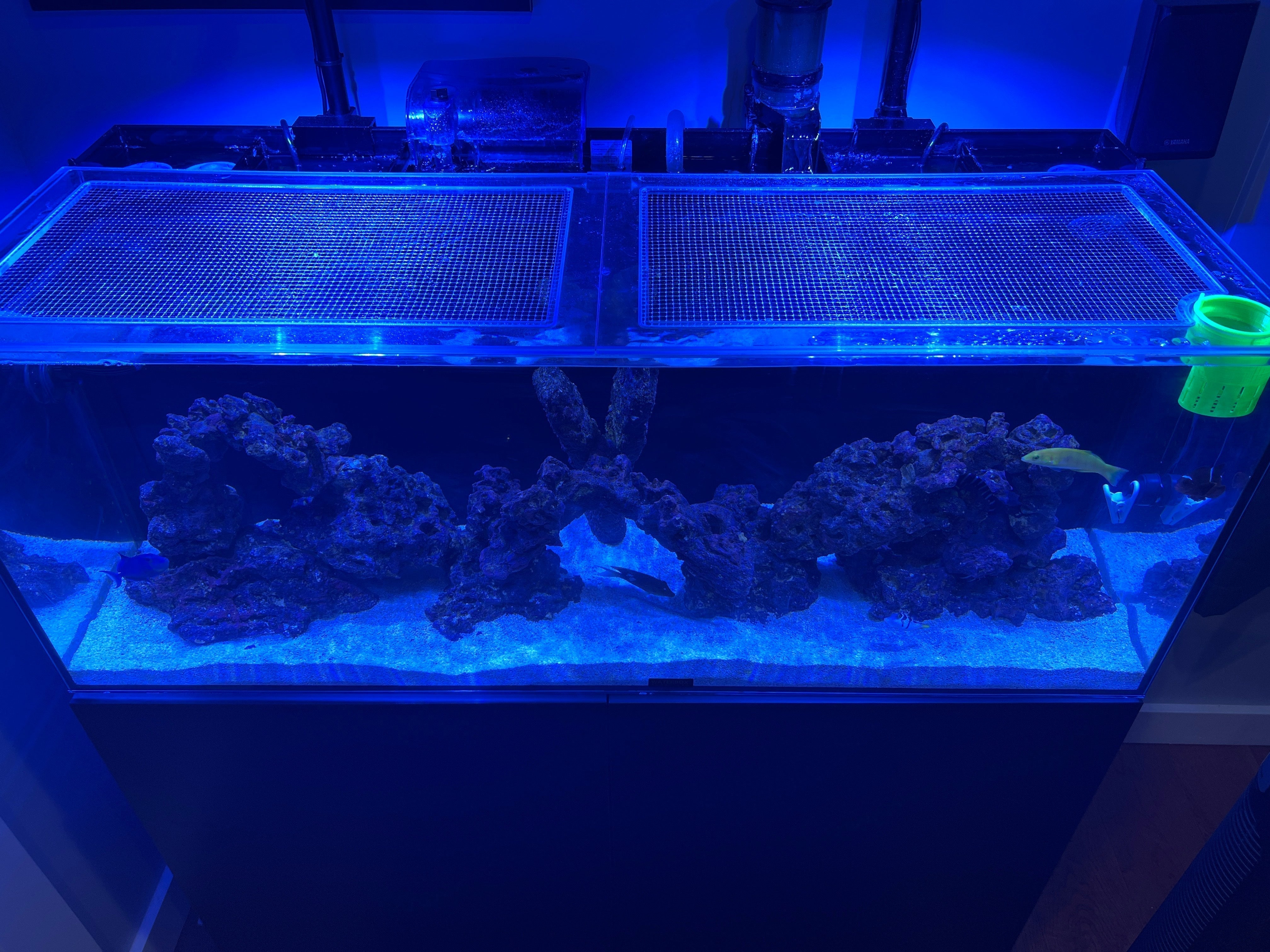 CADE REEF 900 S2 Lid