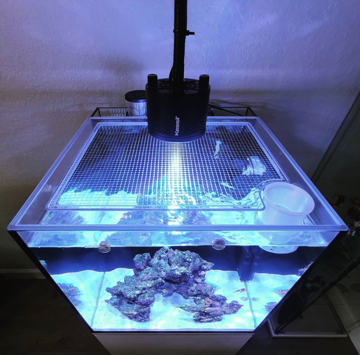 Cobalt Aquatics C-Vue 26 Gallon All-In-One (AIO) Lid