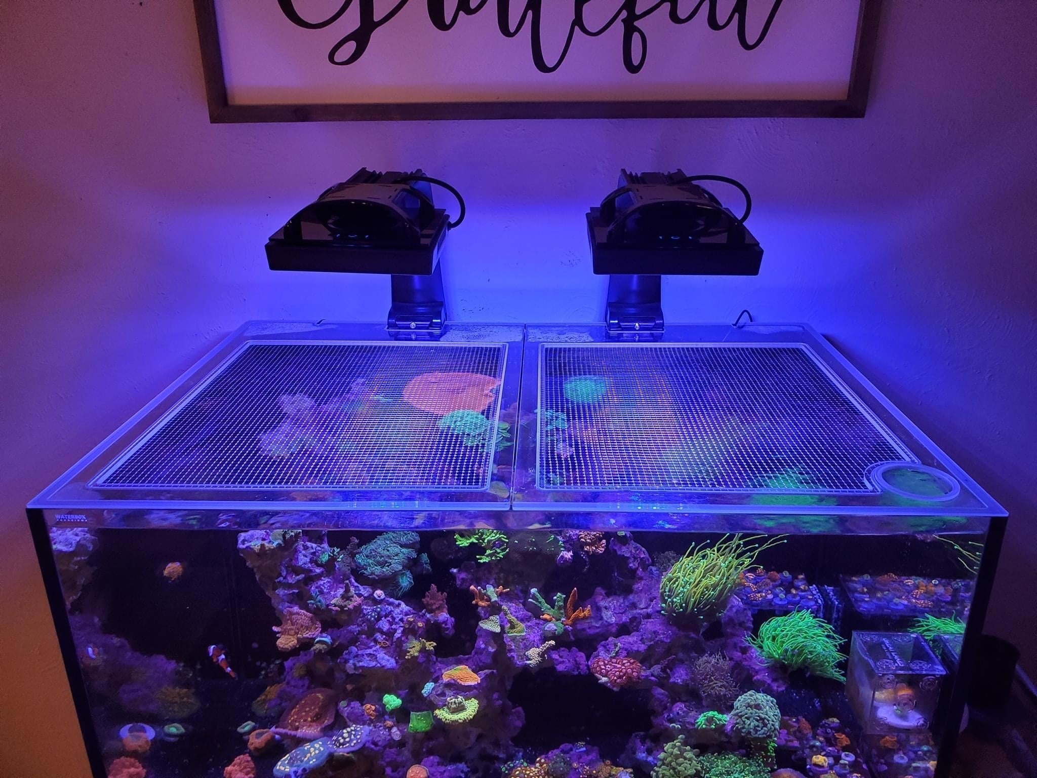 Fiji Cube 76 Gallon Shallow EXT/INT Lid
