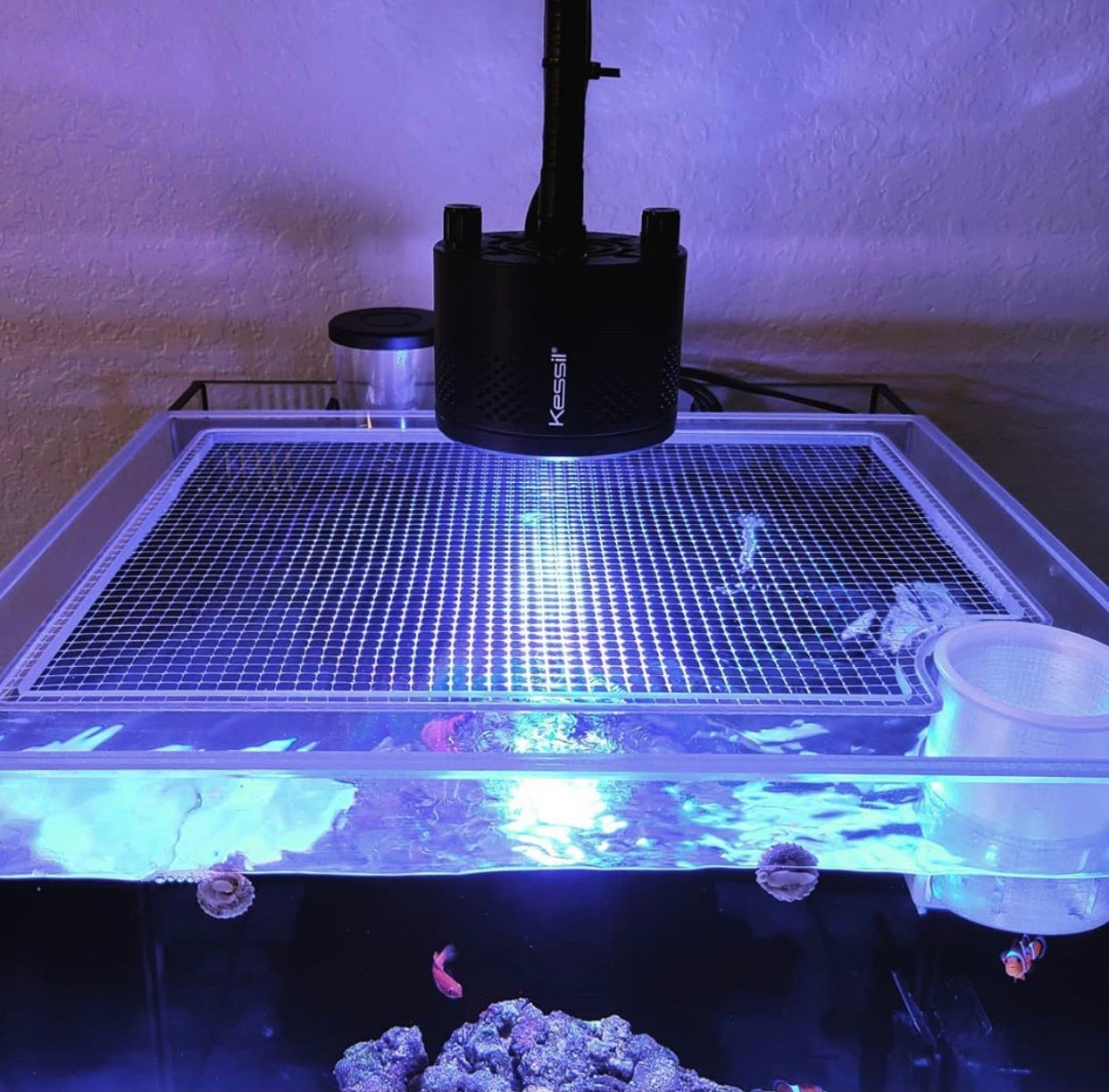 Landen 45P 20 Gallon All-In-One (AIO) Lid