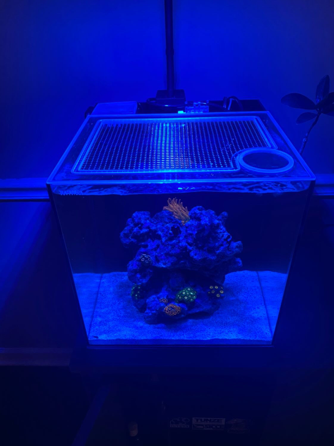 Reef Casa Studio 12 Gallon Modern Cube Lid