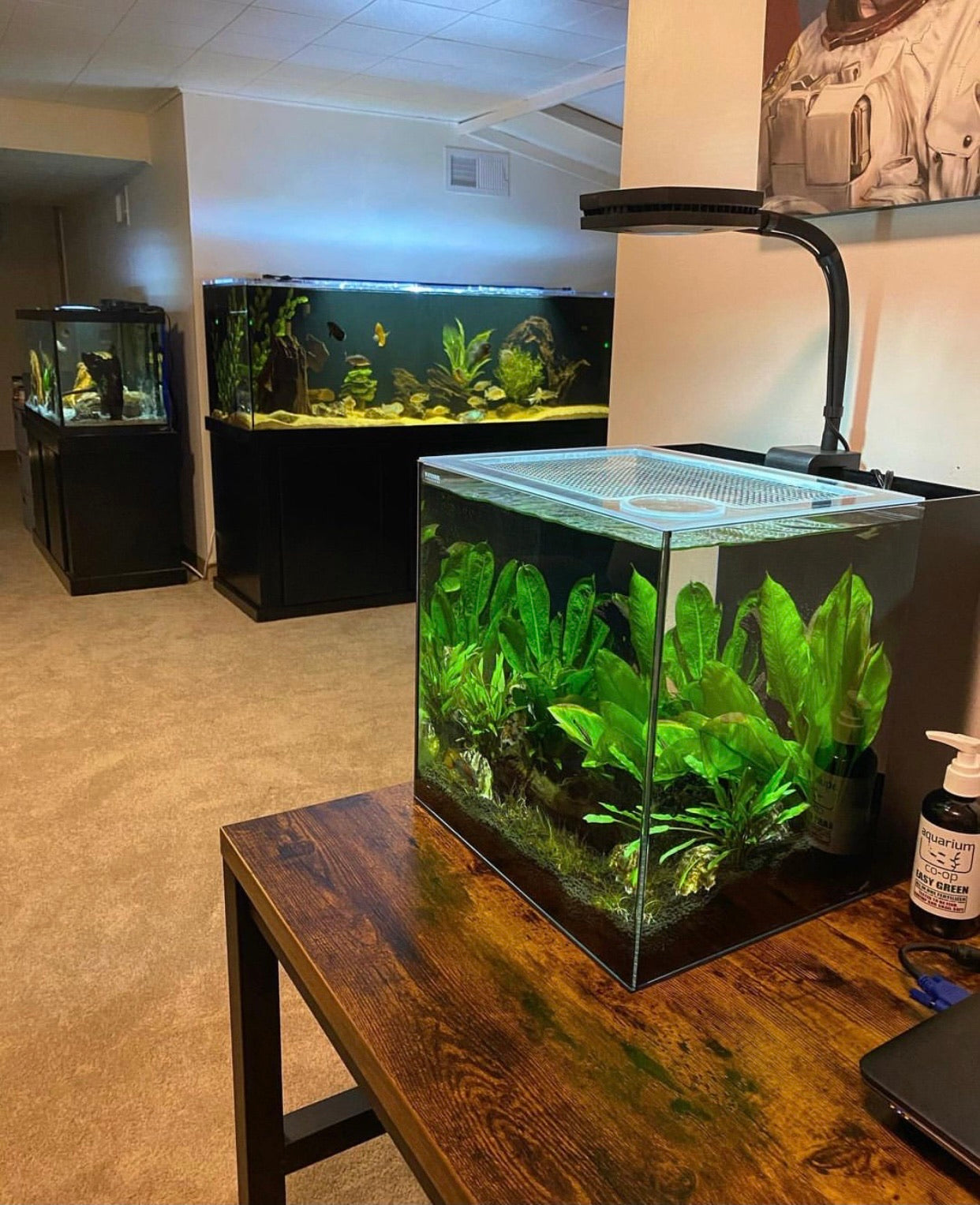 Reef Casa Studio 12 Gallon Modern Cube Lid