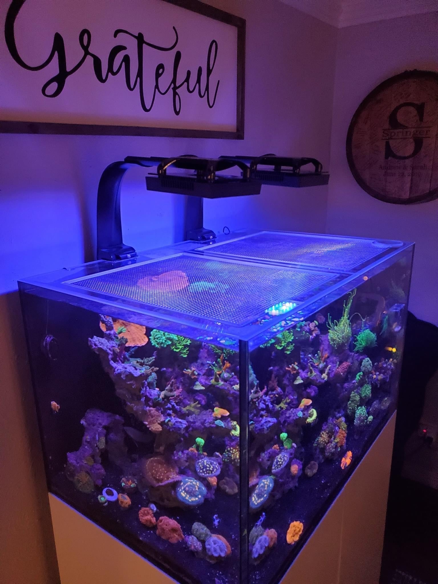 Fiji Cube 76 Gallon Shallow EXT/INT Lid