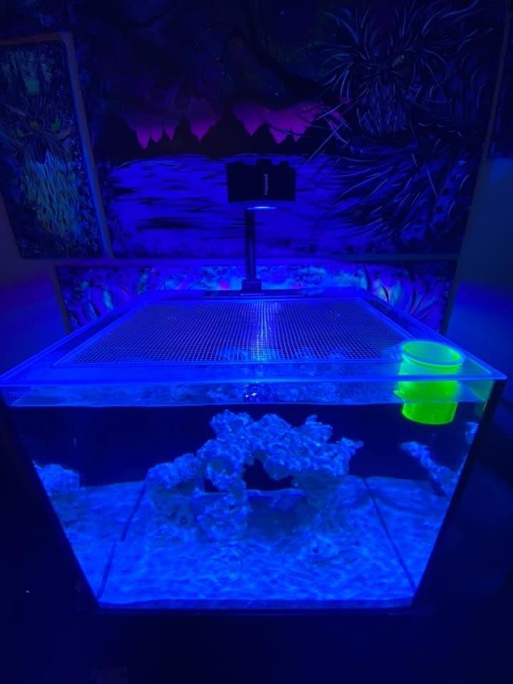 Ultum Nature Systems (UNS) Reef System R75 Lid