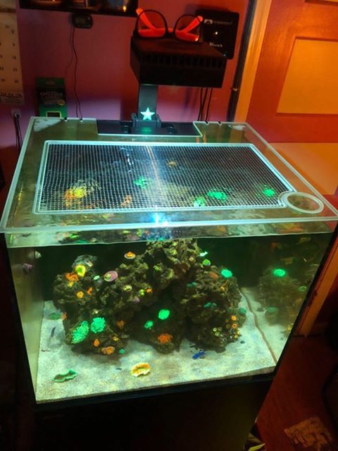 Red Sea REEFER NANO Lid