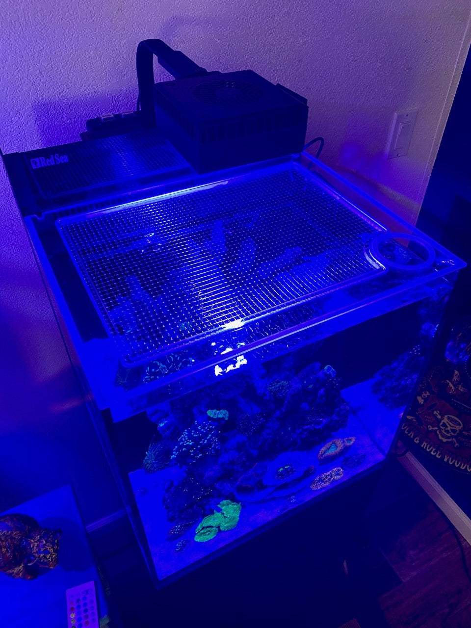 Red Sea DESKTOP CUBE Lid (Not Max G2 Version)