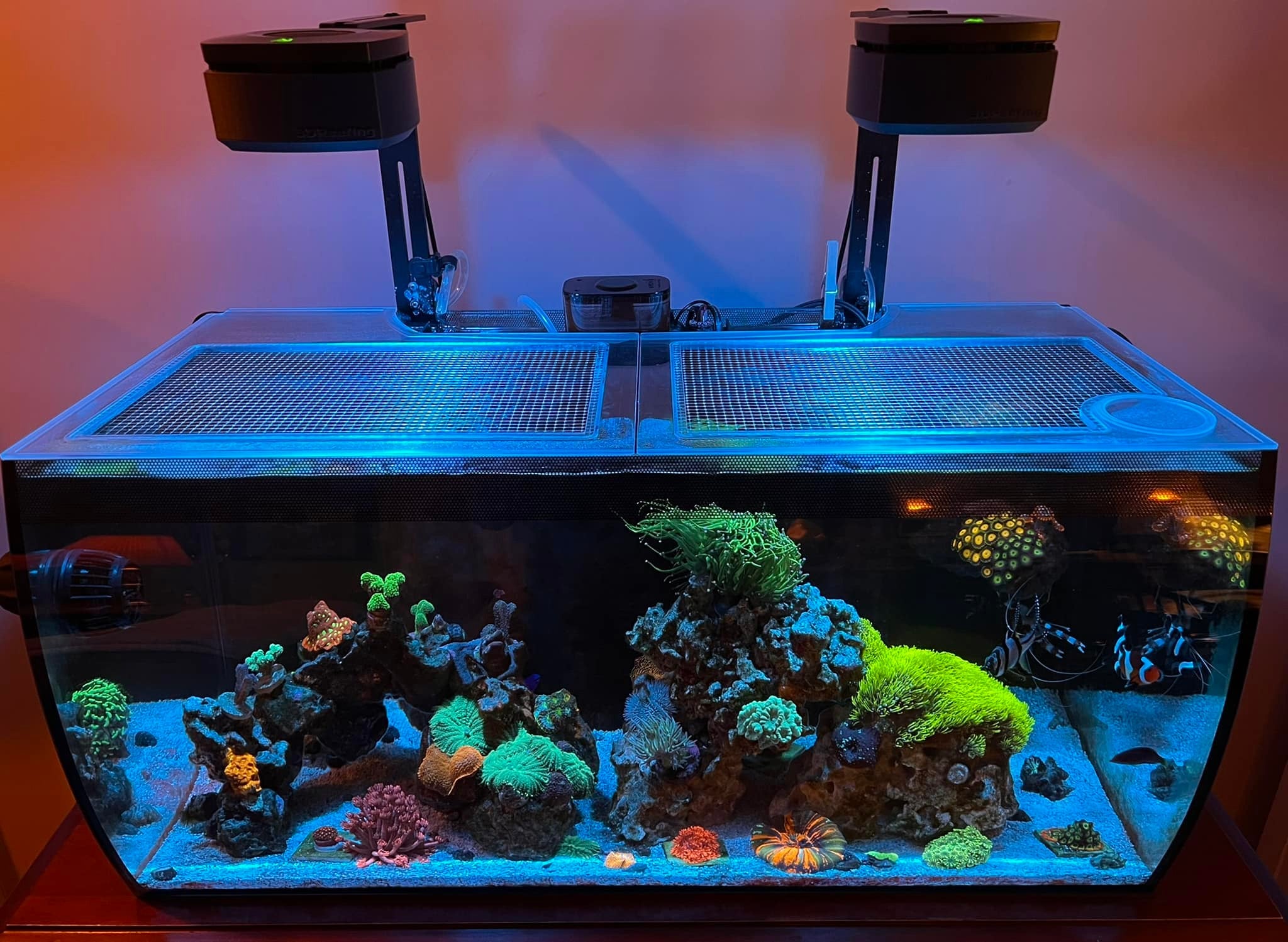 Fluval FLEX 32.5 Lid