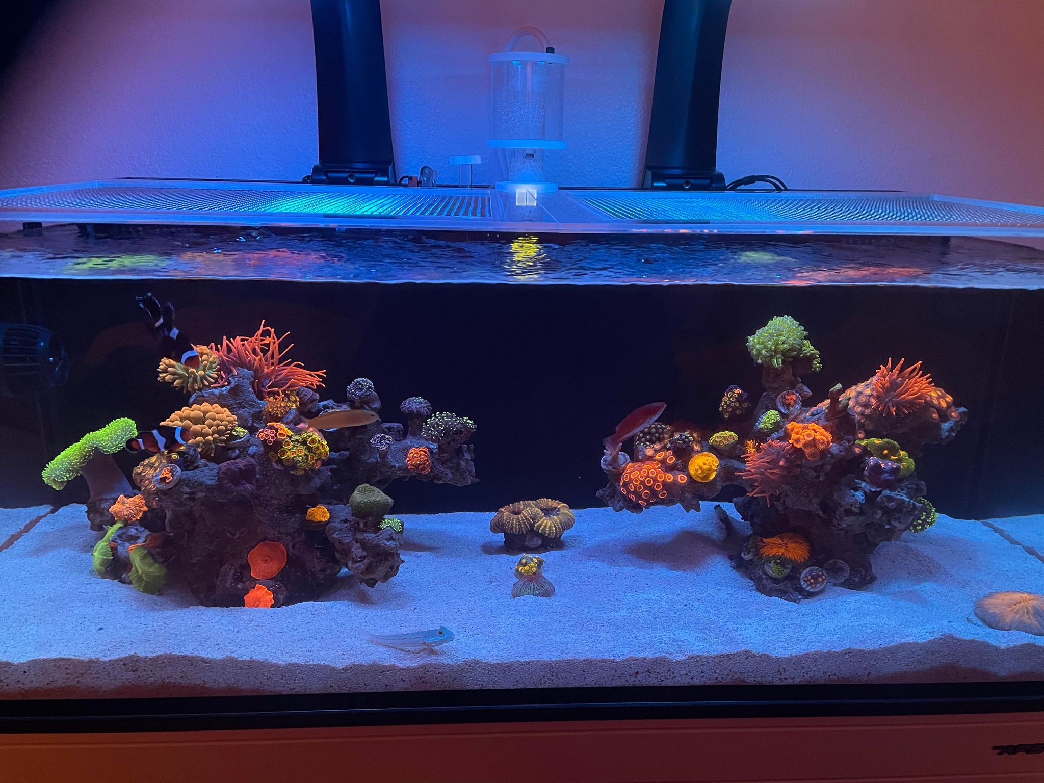 Innovative Marine NUVO FUSION 40 Long Pro 2 Lid
