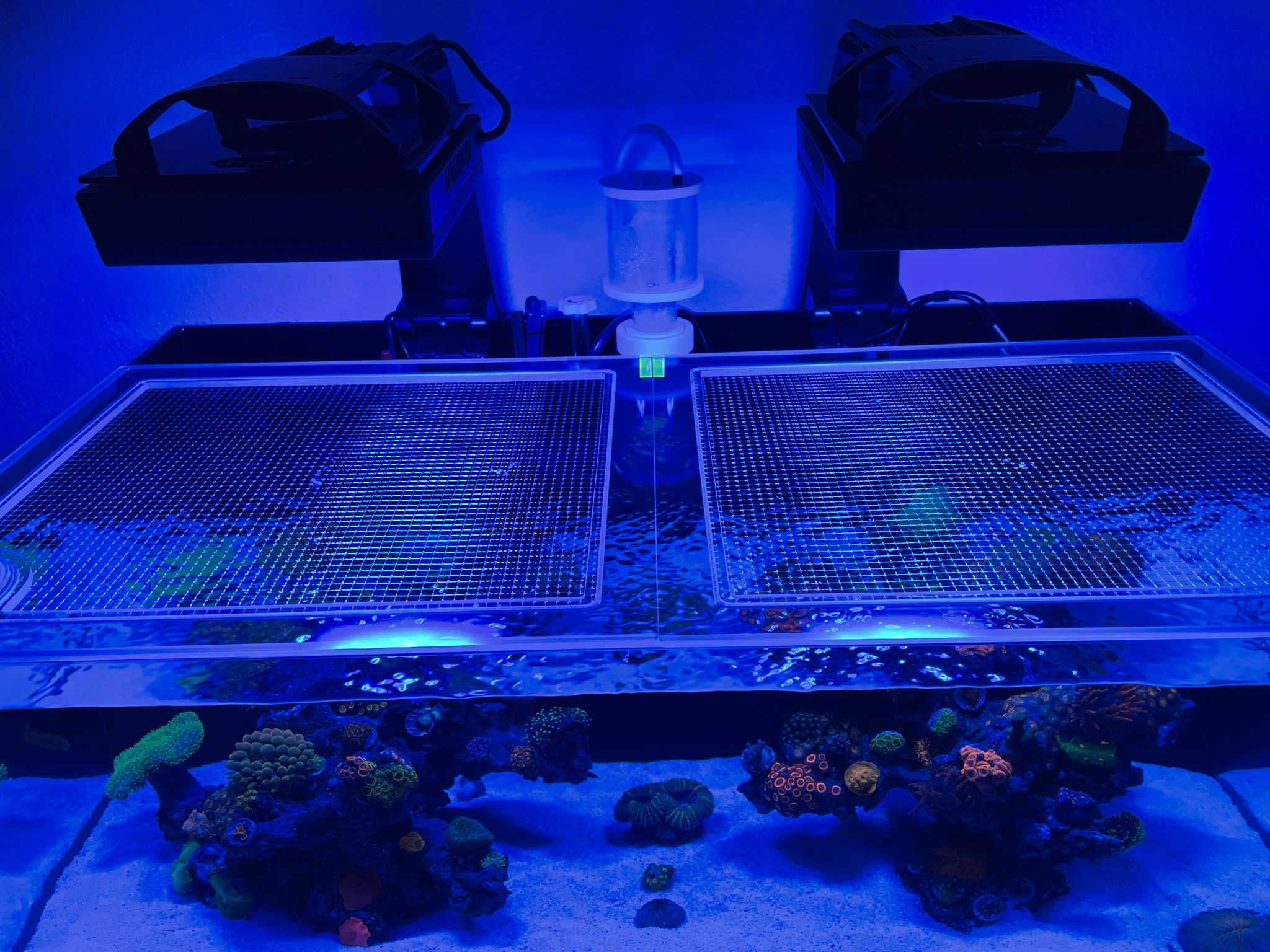 Innovative Marine NUVO FUSION 40 Long Pro 2 Lid