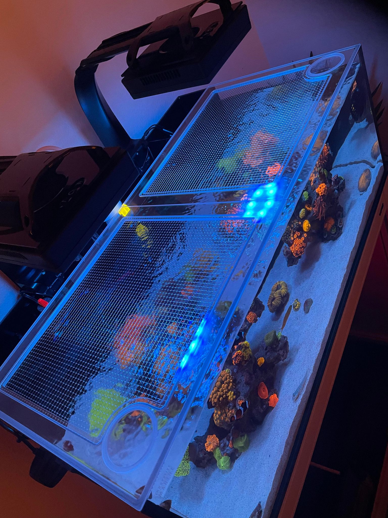 Innovative Marine NUVO FUSION 40 Long Pro 2 Lid