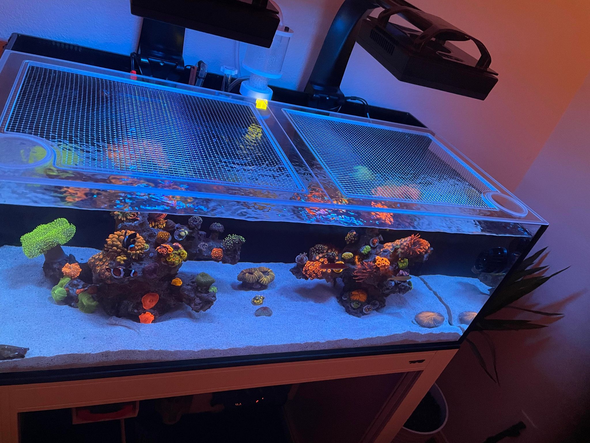 Innovative Marine NUVO FUSION 40 Long Pro 2 Lid