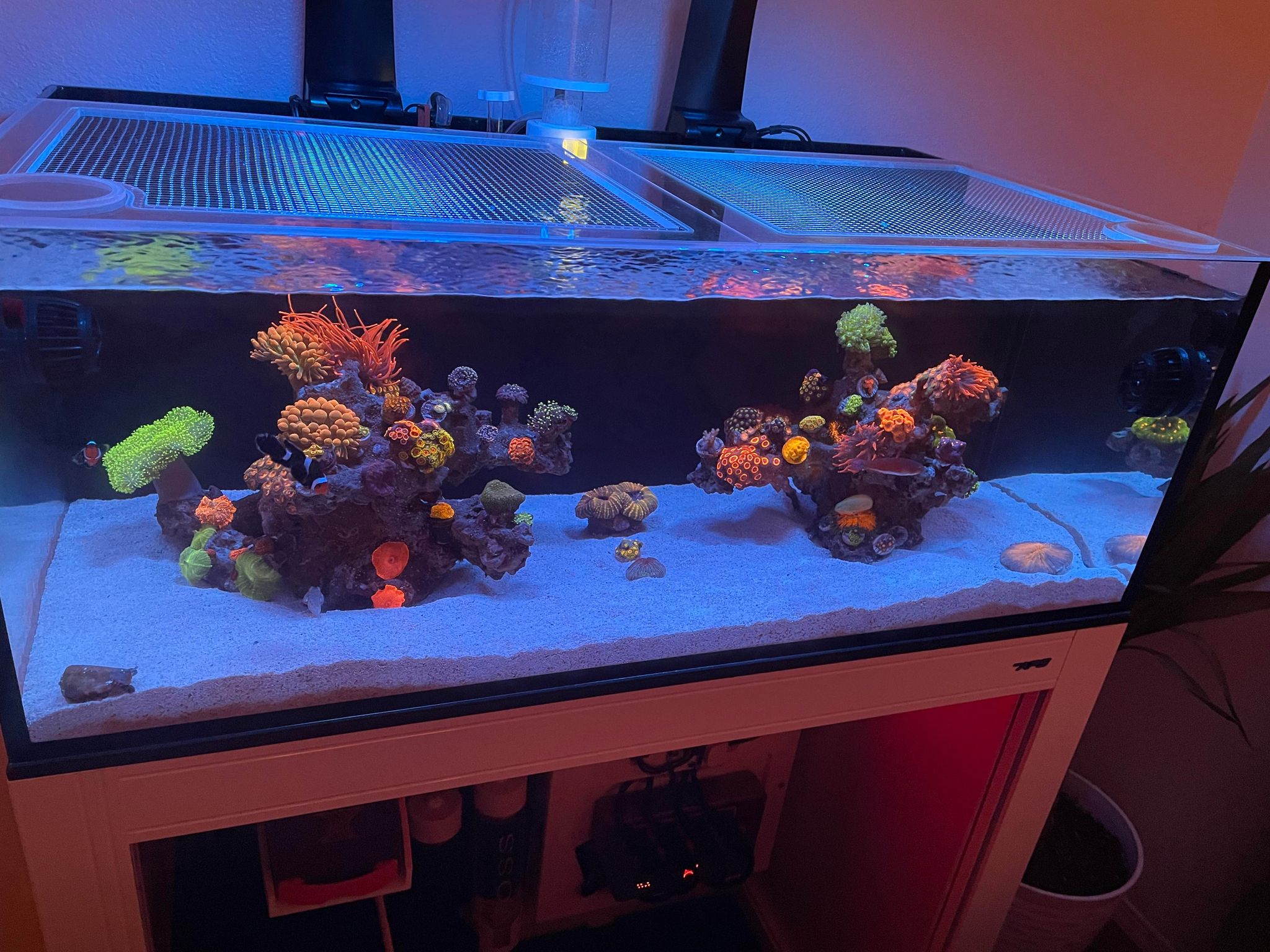 Innovative Marine NUVO FUSION 40 Lagoon Pro 2 Lid