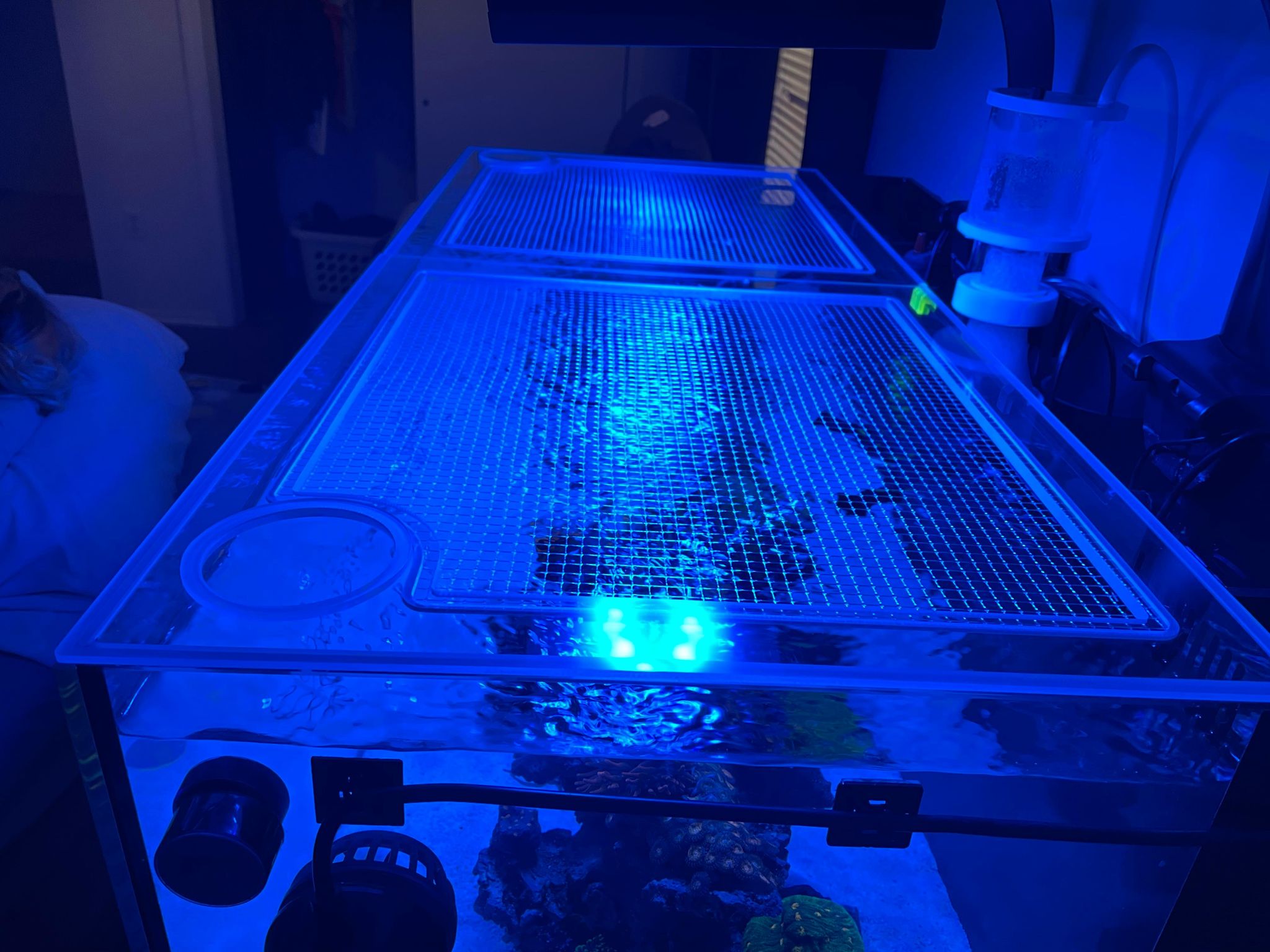 Innovative Marine NUVO FUSION 40 Long Pro 2 Lid
