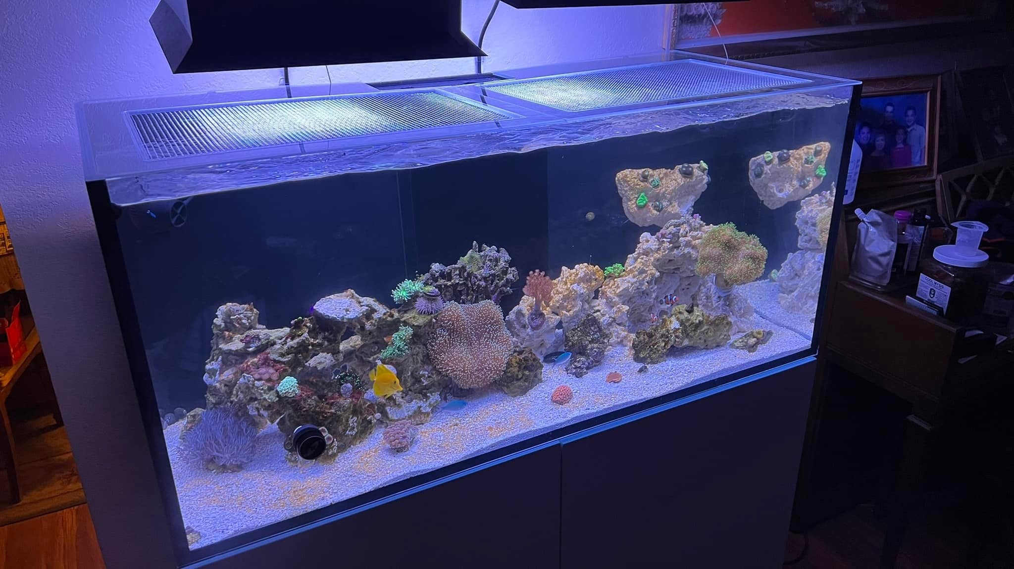 Red Sea REEFER 250 Lid (Older Generation)