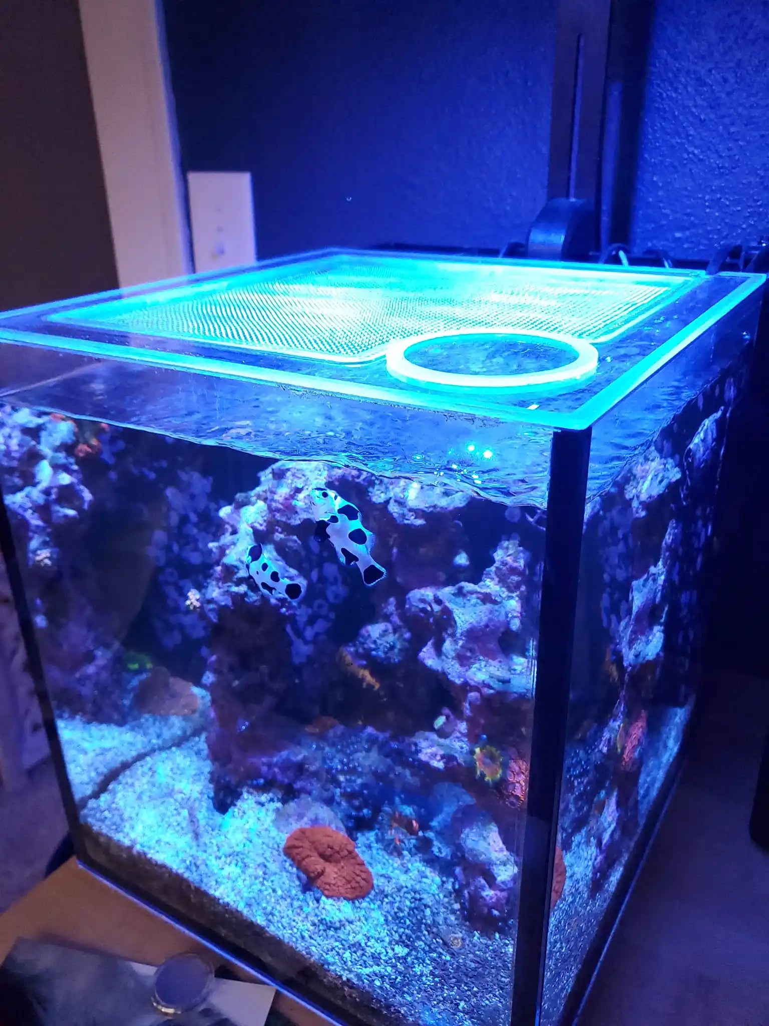 Innovative Marine NUVO FUSION 10 Pro / Pro 2 Lid