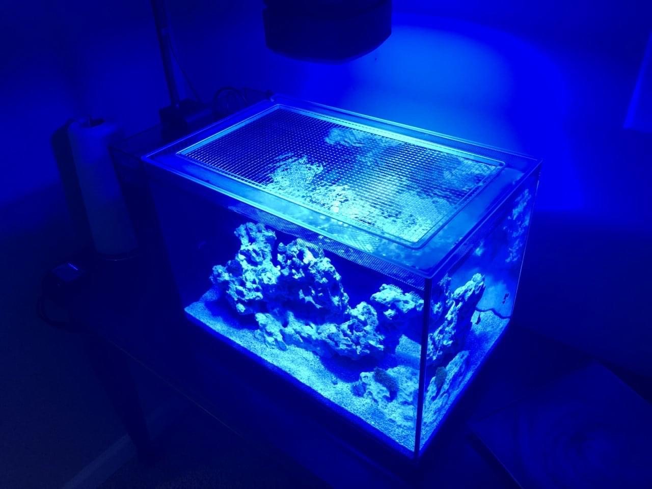 Fluval EVO 13.5 Lid