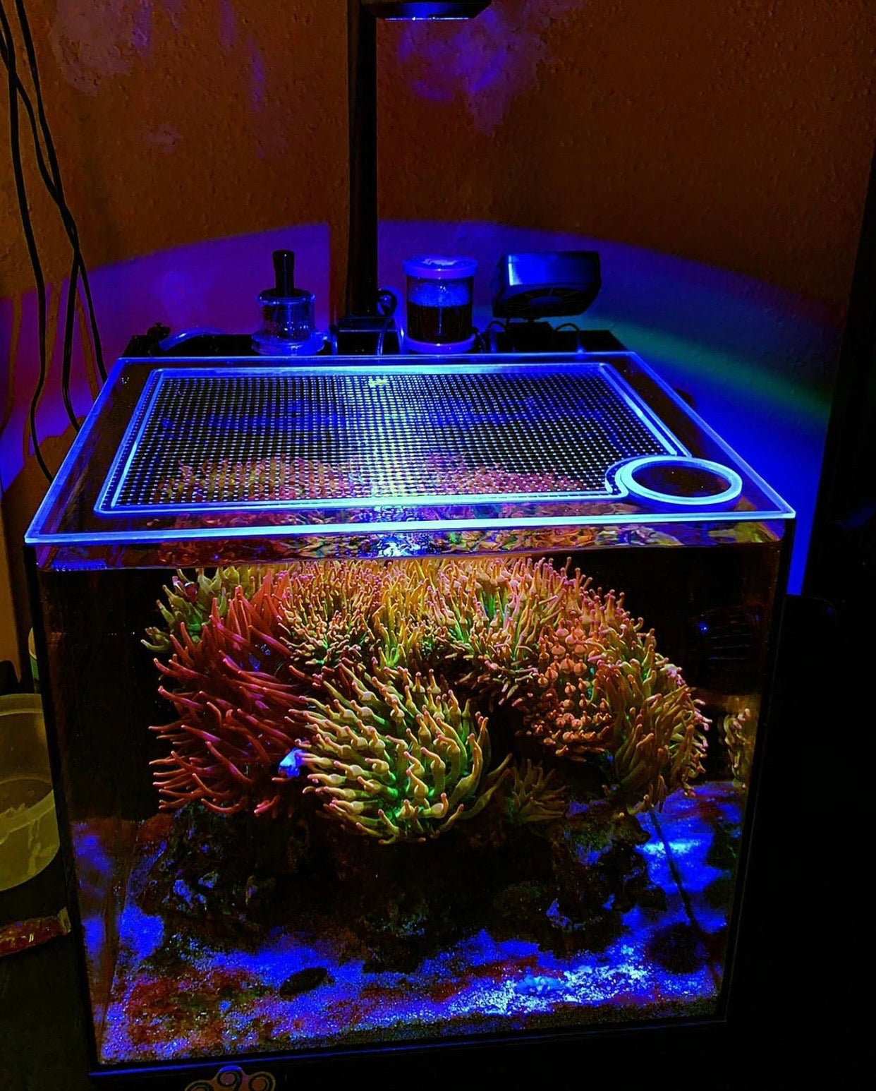Fiji Cube 22.4 Gallon Nano EXT Lid
