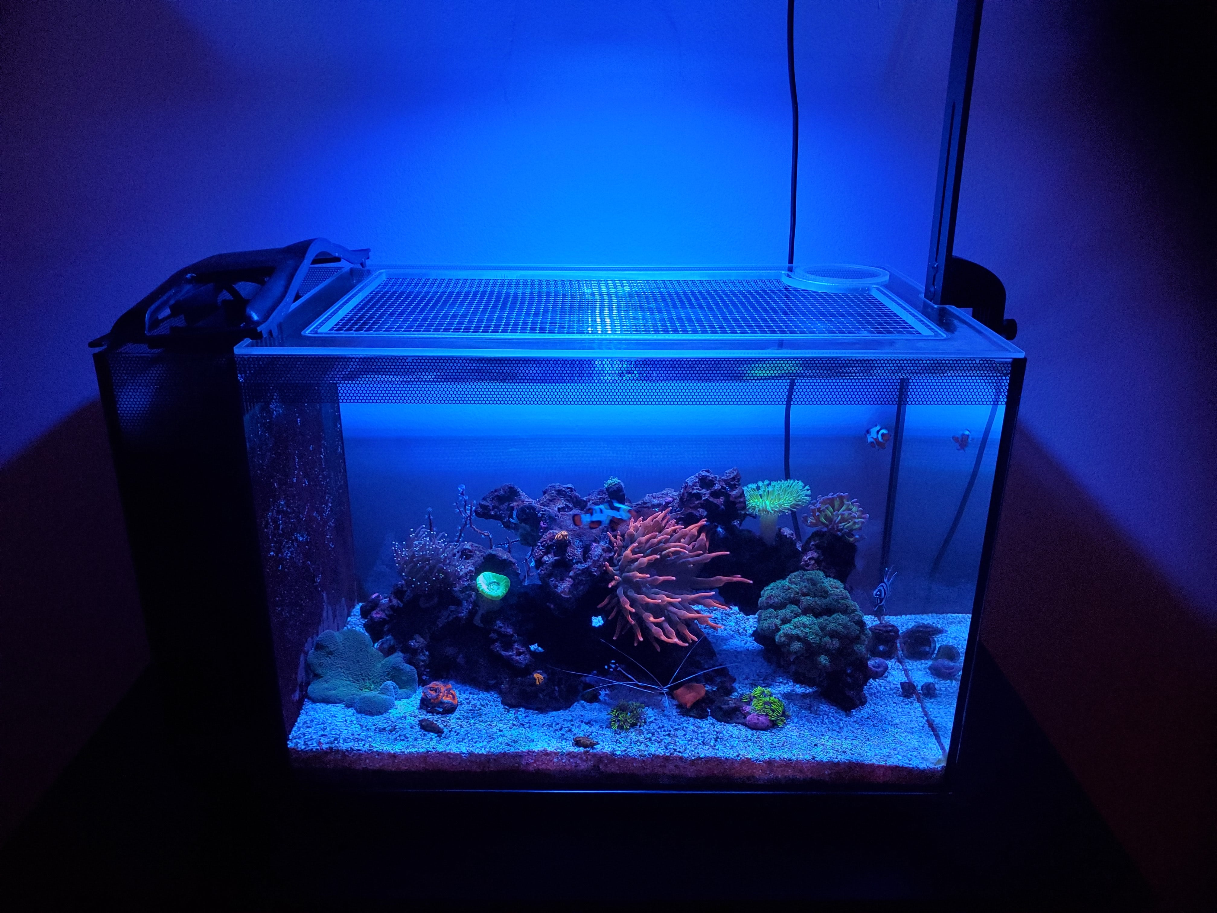 Fluval SPEC 16 Lid