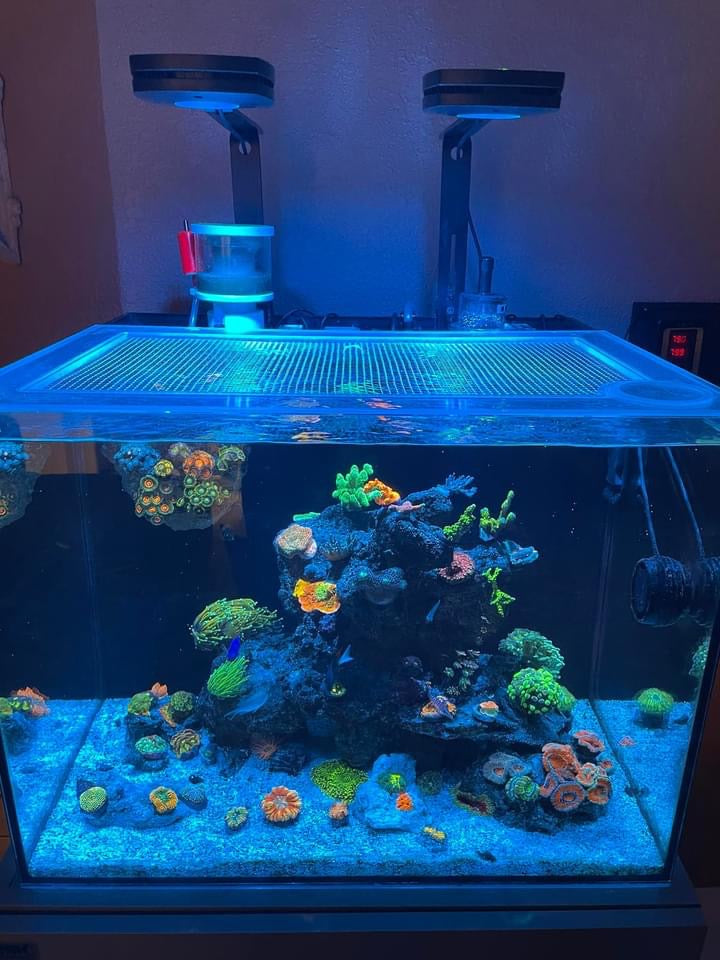 Waterbox All-In-One (AIO) 35.2 Lid